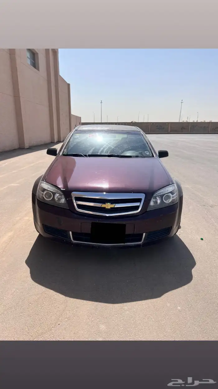 كابرس 13 عنابي 3