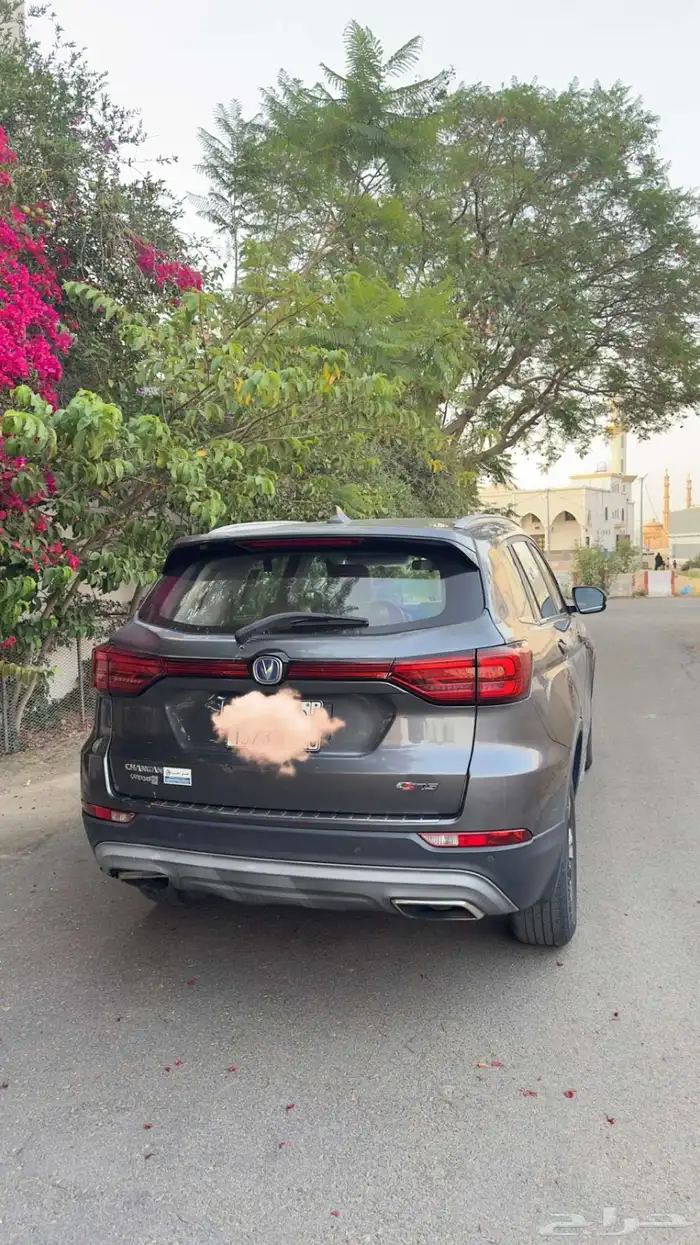 شانجان 3