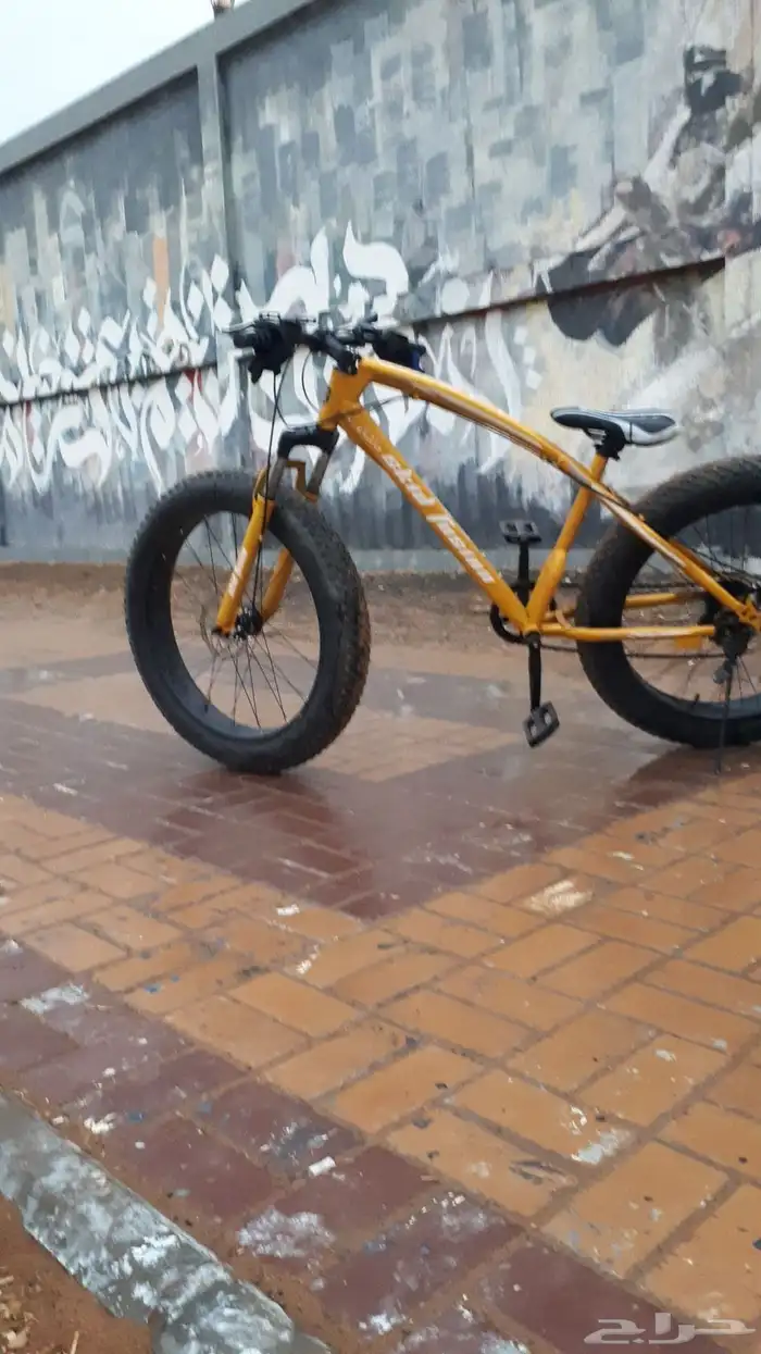 cycle for sale 0
