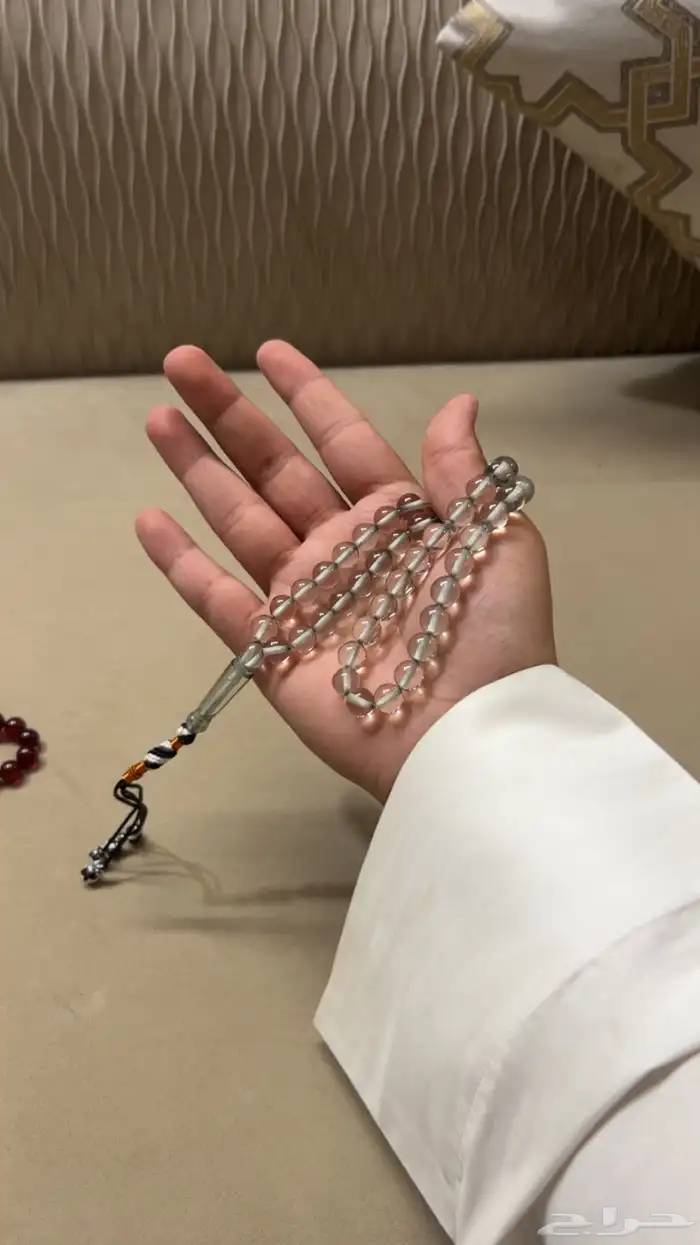 سباح زعفران وبكلايت 2