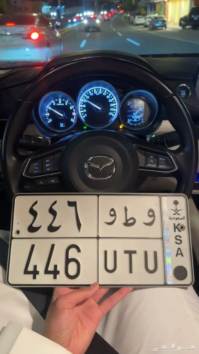 لوحه مميزه للبيع 0