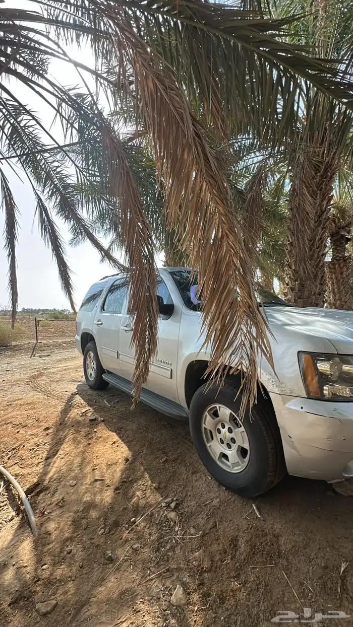 جمس 7