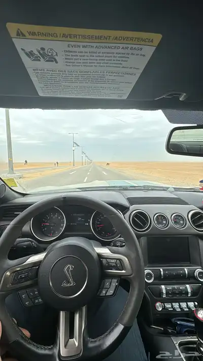 موستنق شلبي gt 350 index