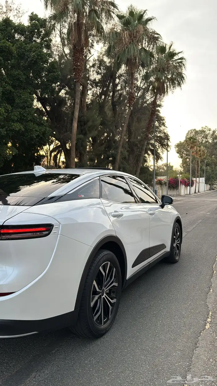 للبيع كراون بريميوم 2023 13
