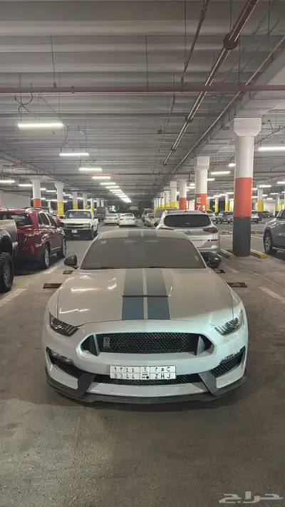 موستنق شلبي gt 350 index