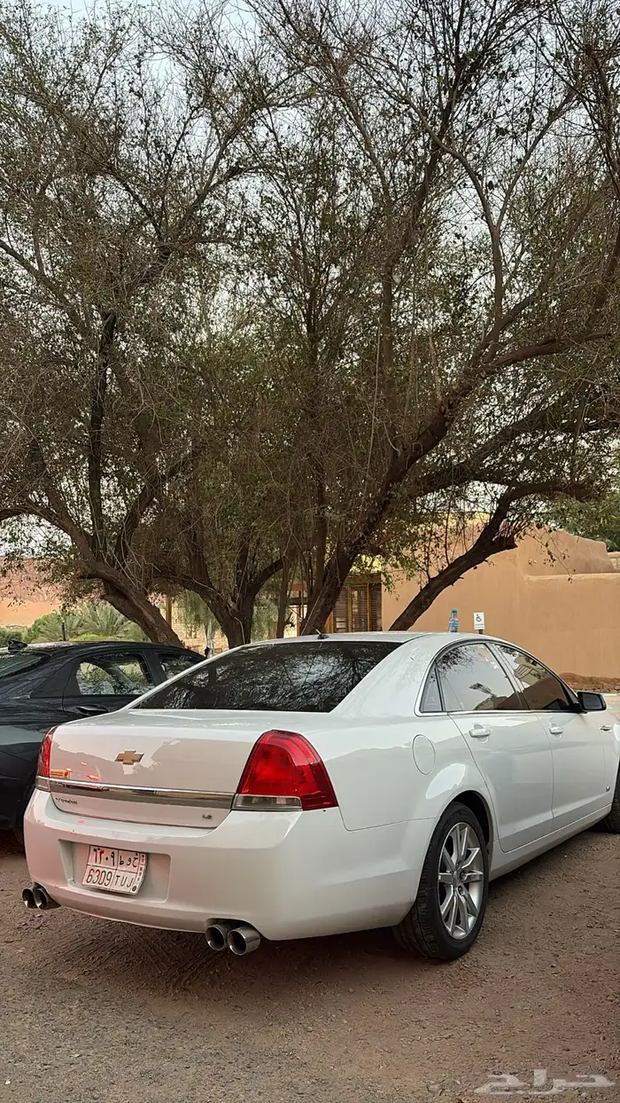 كابرس 16 1