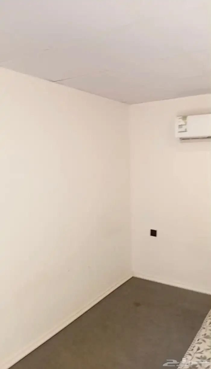 استديوا للعزاب 1700 شهرى حى غرناطه 1