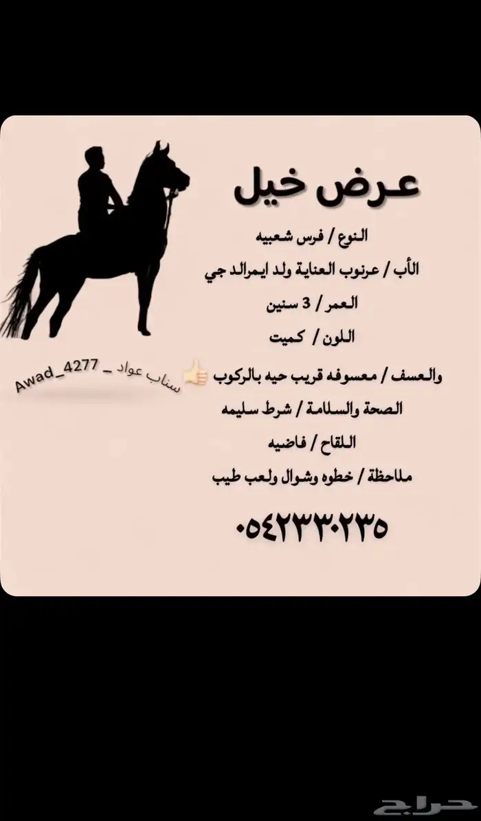 فرس شعبية قطعة جميلة 1