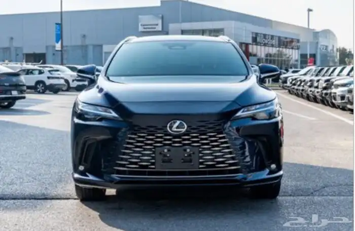 2023 Lexus RX 350 Luxury 0