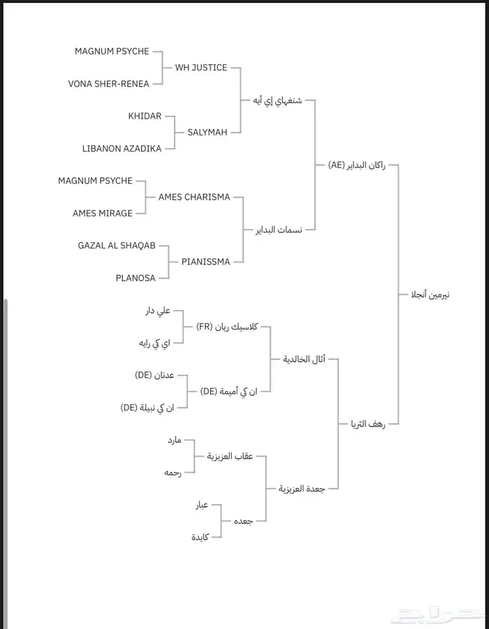 فرس واهو بالسوق سوم 20من وقف عليه.السوم مبروك 4