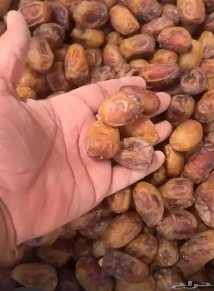تمر خلاص للبيع الافلاج 0