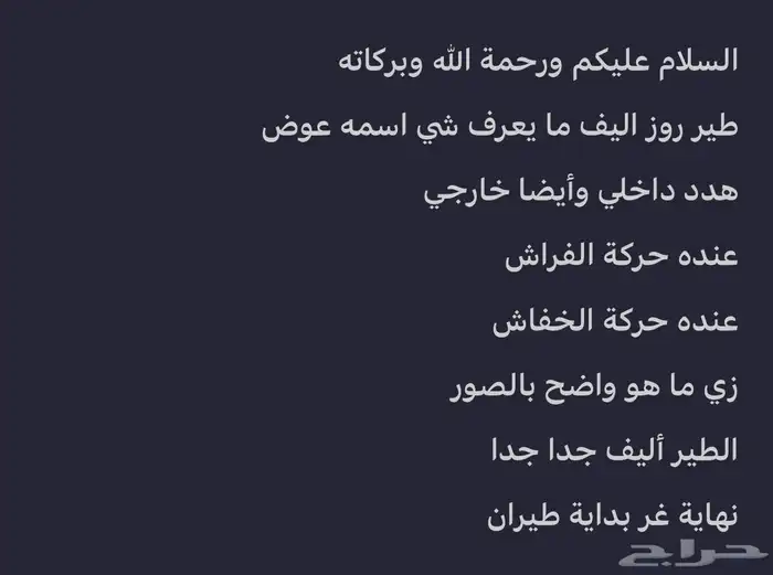 طير روز 0
