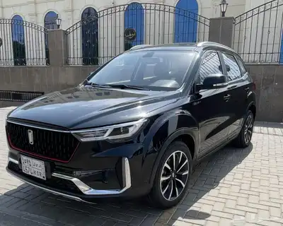 فاو T33 موديل 2022 البيع على السوم index