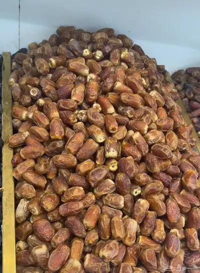 عجوة المدينة حبة وسط شي بالذمة نظيف إنتاج السنة غير مخزن index