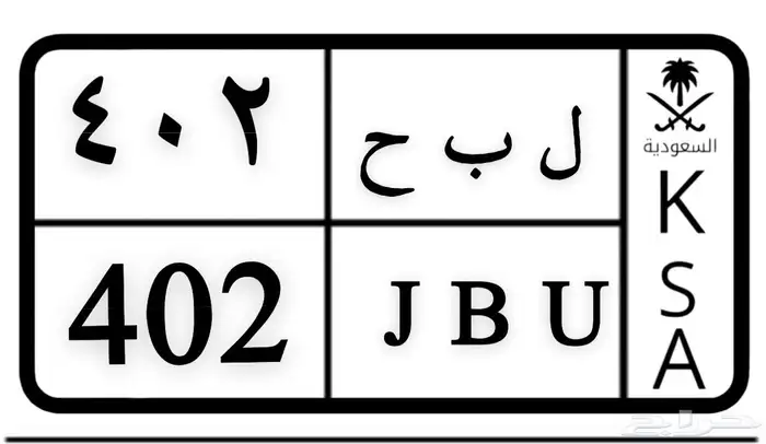 لوحة مميزه للبيع على السوم 0