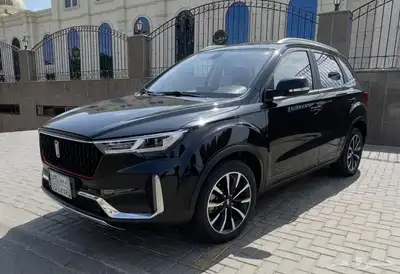 فاو T33 موديل 2022 البيع على السوم index
