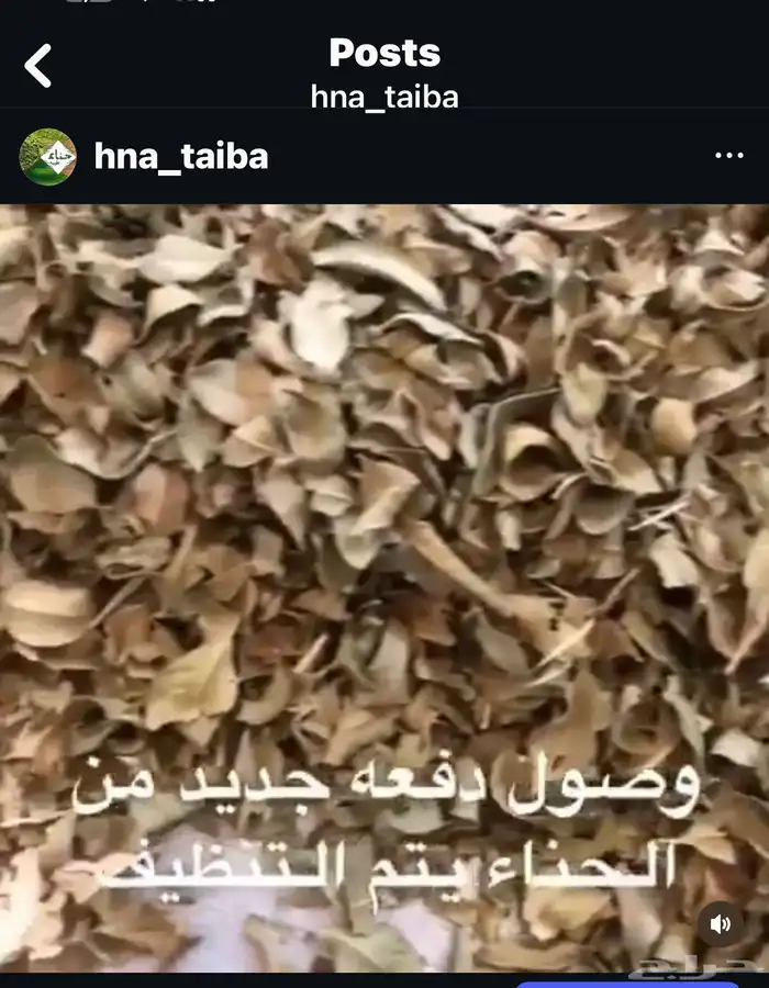 للبيع حناء طبيعي 0