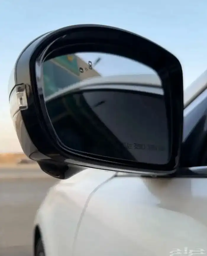 كادينزا 2021 6