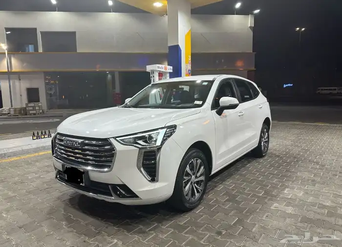 هافال جوليان 2024 0