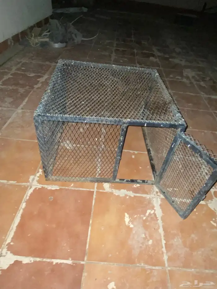شبك طيور للبيع 0