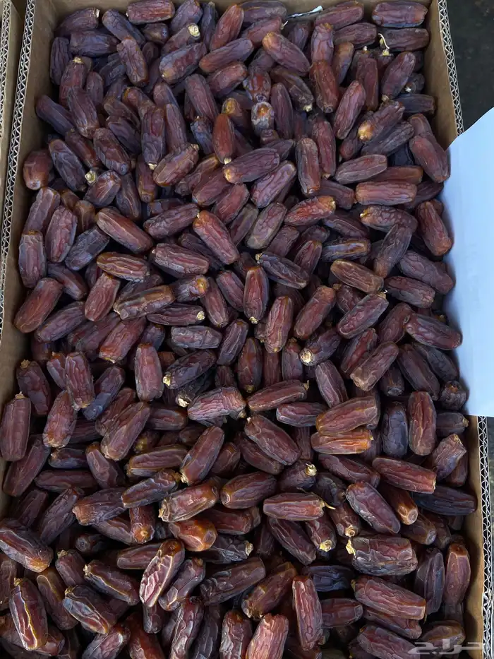 تمر برني العلا مبروم حبة طيبة 1