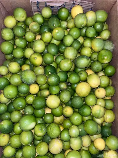 للبيع ليمون نضيف index