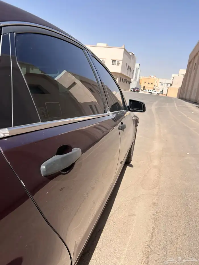 كابرس 13 عنابي 9
