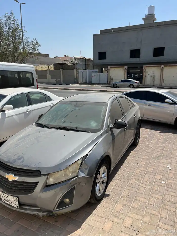 كروز للبيع 5