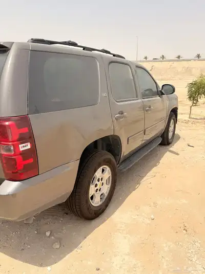 تاهو مصدوم index