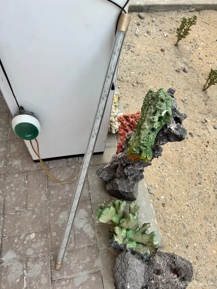 حوض للسمك 2