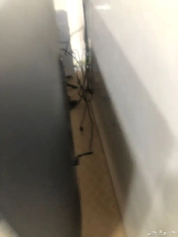 طاولة تلفزيون للبيع السعر 100 2