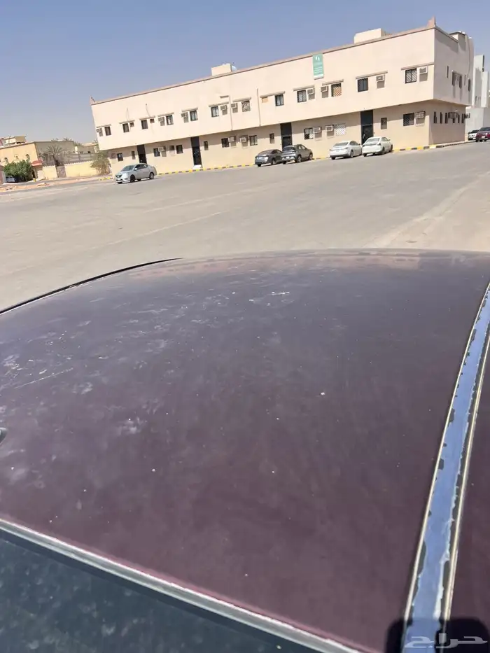 كابرس 13 عنابي 10
