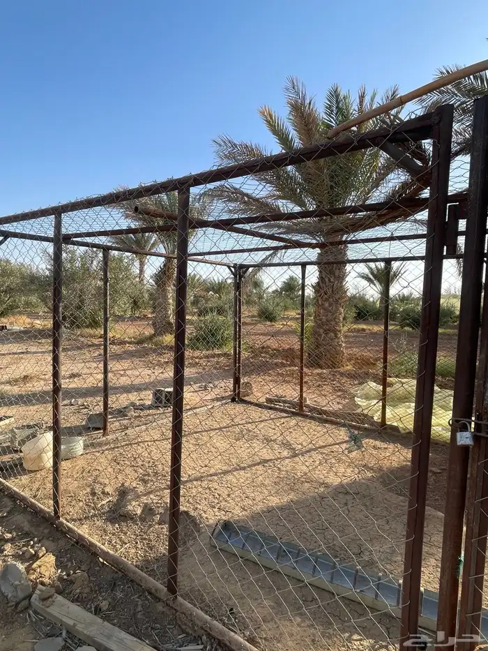 شبك للحلال والطيور اخو الجديد 1