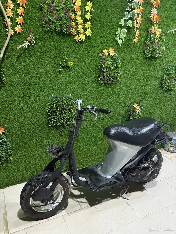 دباب بطه 60 0
