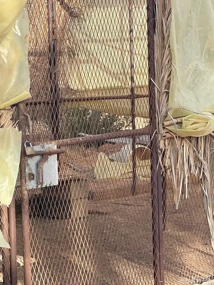 شبك للحلال والطيور اخو الجديد 0