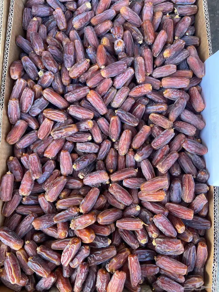 تمر برني العلا مبروم حبة طيبة 0