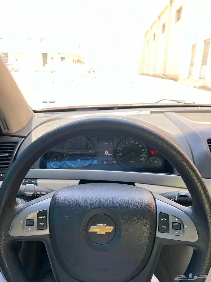 كابرس 13 عنابي 7
