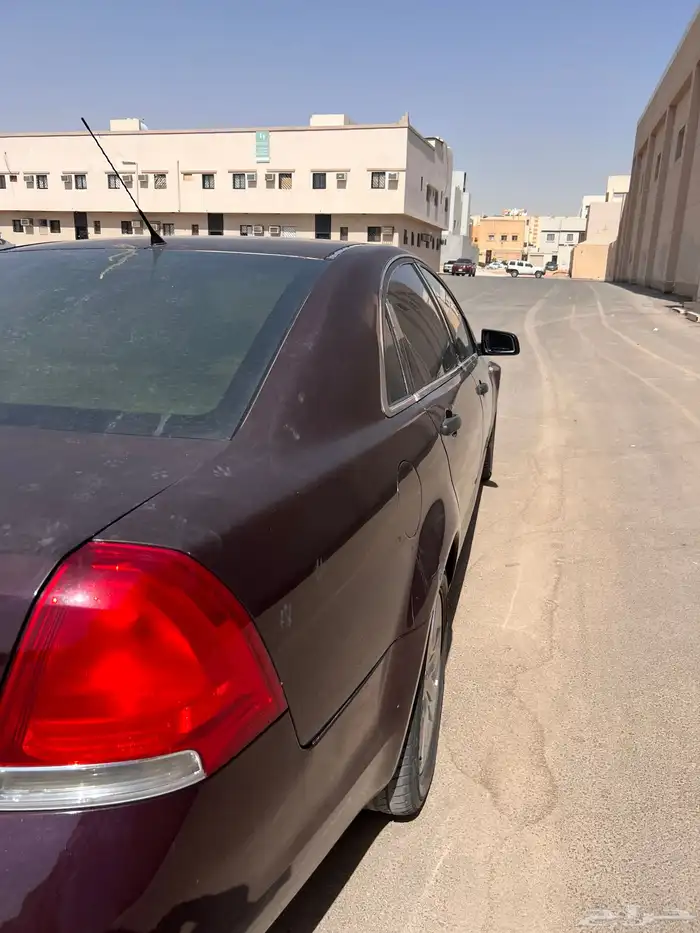 كابرس 13 عنابي 12