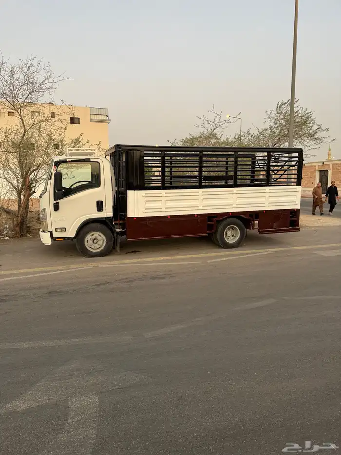دينا ايسوزو 2010 شاص 4 50 5