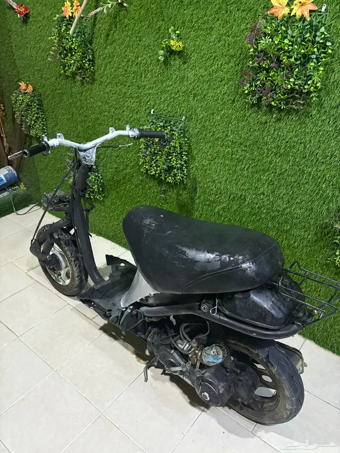 دباب بطه 60 1