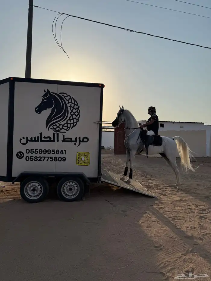 نقل خيل 2