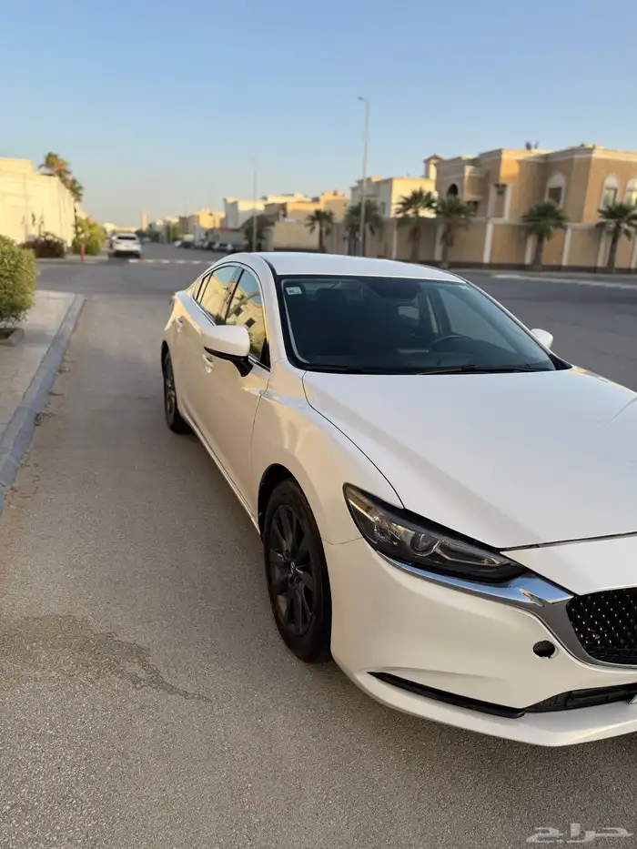 للبيع مازاد 6 2022 4