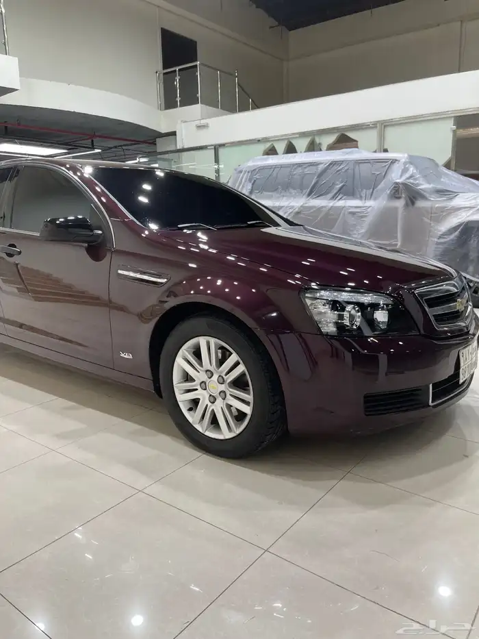 كابرس عنابي 2013 33