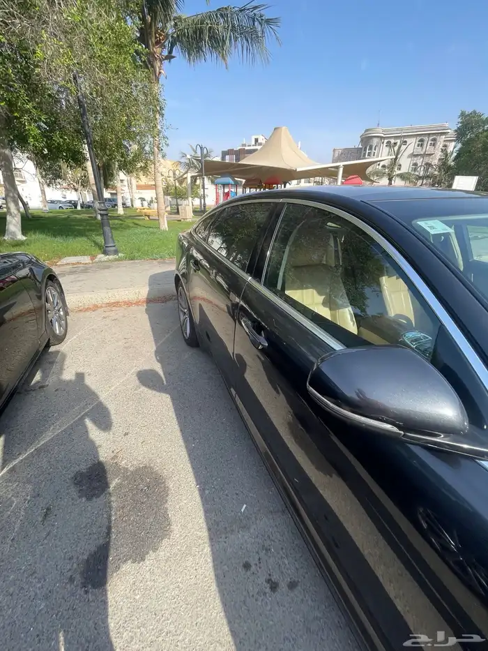جاكور 2015 8