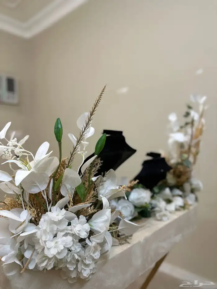 عربية ملكة 5