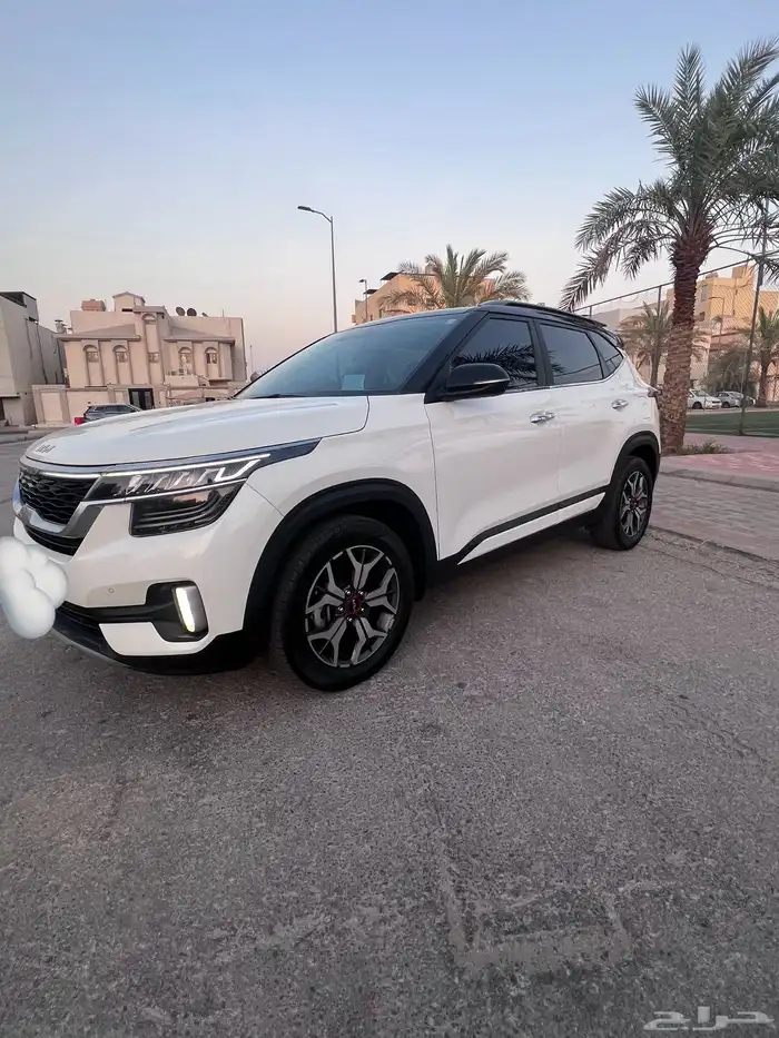 سيلتوس 2023 0