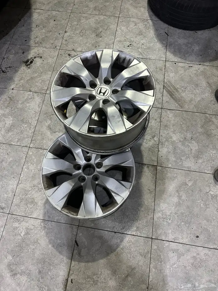 جنوط اكورد 2008 0