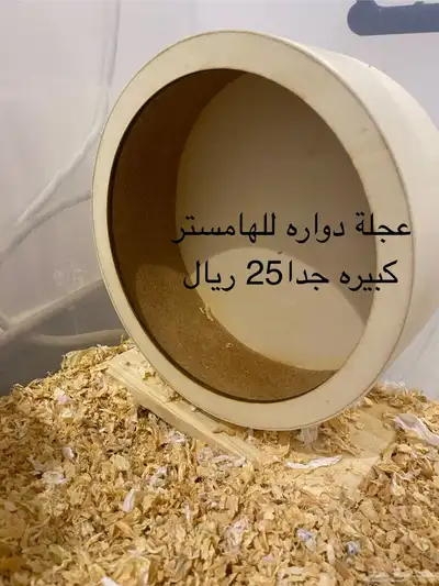 مستلزمات هامستر للبيع index