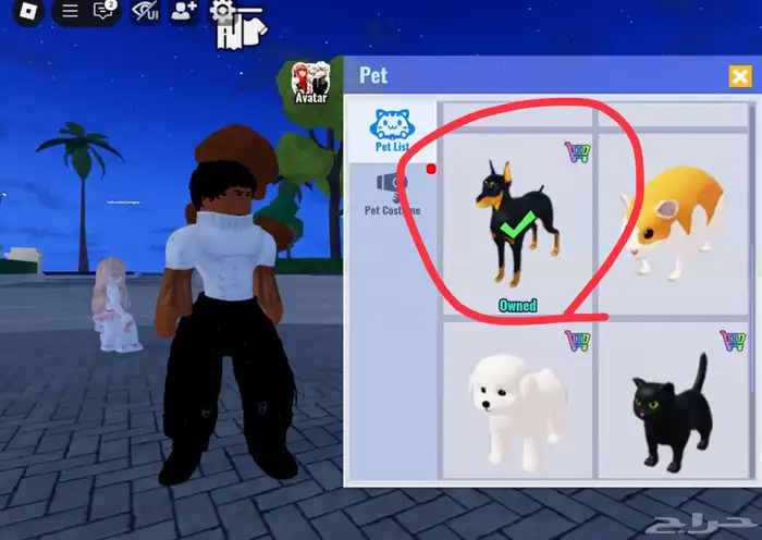 روبلوكس فيه سكن الدب وسكن robloxian وشاري في ماب ميترو لاف 10