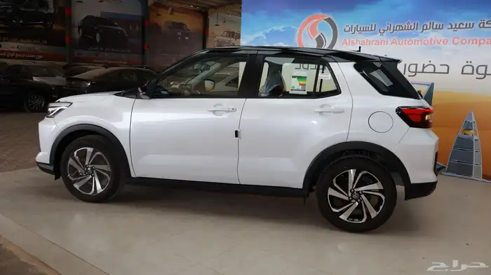 رايز ليمتد 2026 3